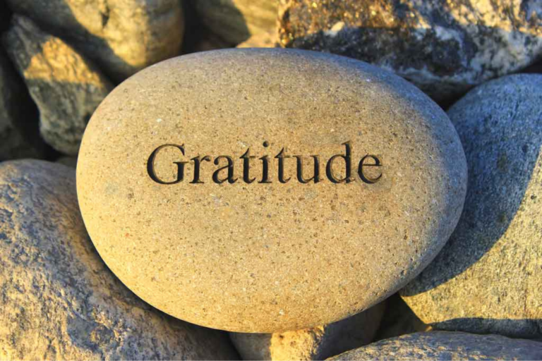 Daily Gratitude